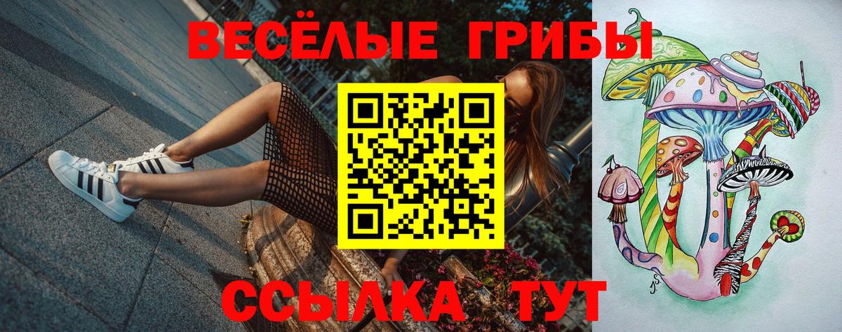 Галлюциногенные грибы MAGIC MUSHROOMS Старая Купавна