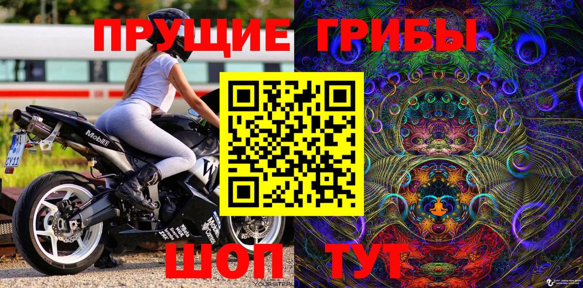 Старая Купавна  Псилоцибиновые грибы Psilocybine cubensis  Вход с VPN 